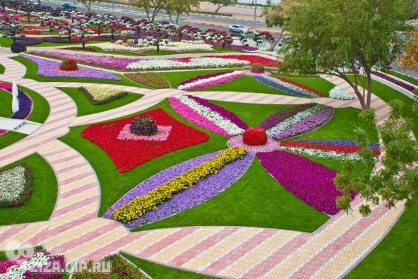 Великолепный парк цветов Al Ain Paradis