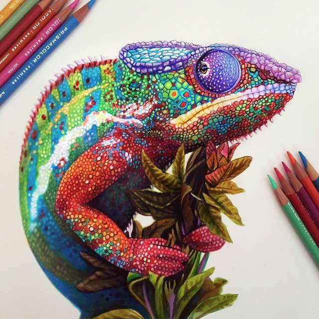 Восхитительный гиперреализм цветными карандашами от Морган Дэвидсон