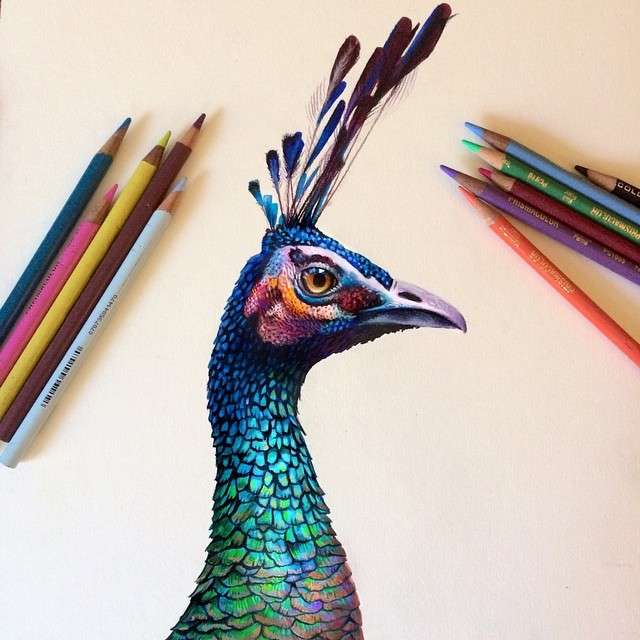 Восхитительный гиперреализм цветными карандашами от Морган Дэвидсон