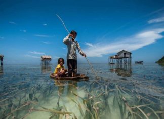 Життя на воді.
