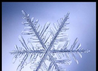 Сніжинки під мікроскопом.