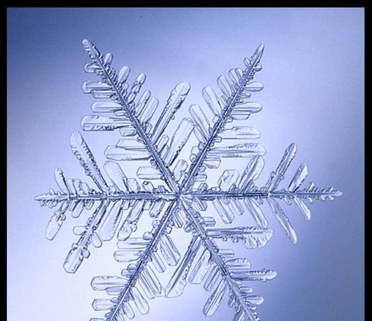 Сніжинки під мікроскопом.