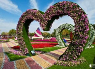 Чудовий парк квітів Al Ain Paradis.