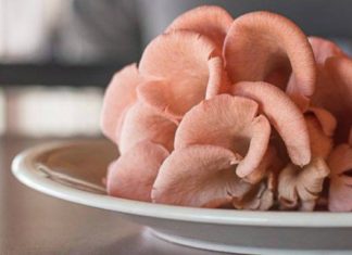 Ароматизовані гриби входять в моду.