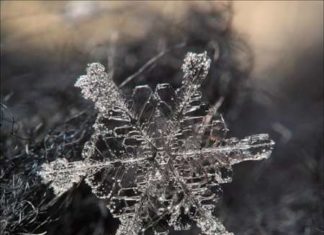 Макрозйомка сніжинок.