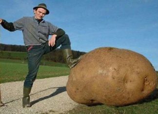 Самий багатий вітамінами продукт.