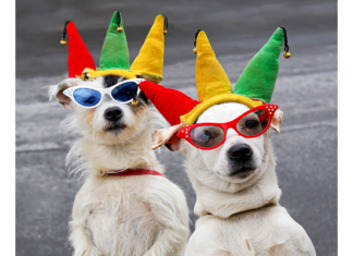 Як наш тато ходив у цирк з 7 дітьми.