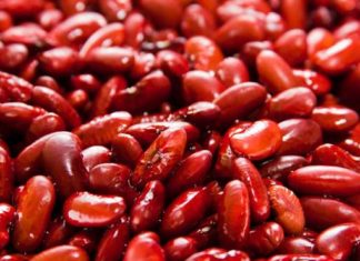 Шкідлива корисна їжа.