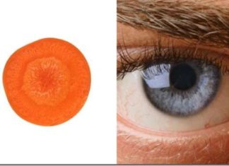 Їжа корисна для тієї частини тіла, на яку схожа.