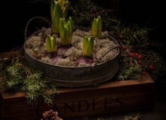 Мигдальне печиво до новорічного столу.