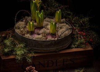 Мигдальне печиво до новорічного столу.