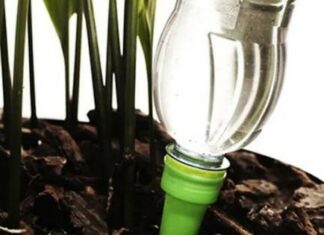 Крапельний полив своїми руками з підручних матеріалів