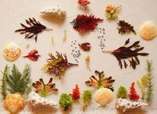 Навіщо робити вироби з природних матеріалів?