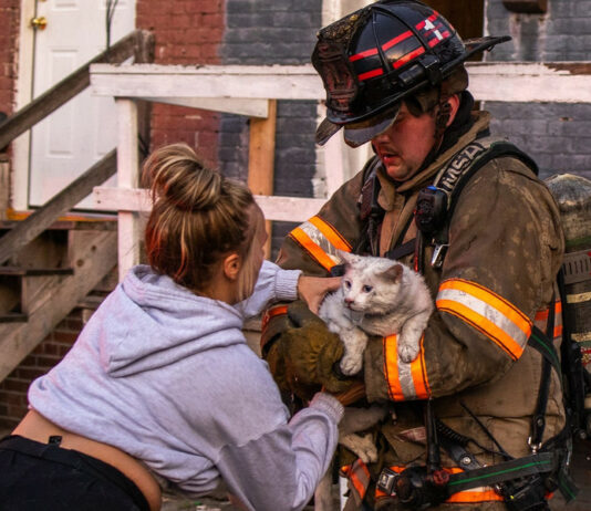 Котики, врятовані під час пожежі: 20 зворушливих фотоісторій