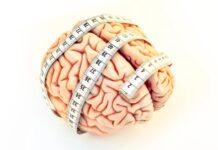 Розмір мозку новонароджених пов’язаний з внутрішньоутробним впливом естрогену