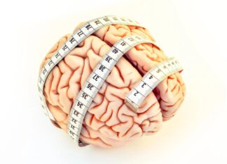 Розмір мозку новонароджених пов’язаний з внутрішньоутробним впливом естрогену