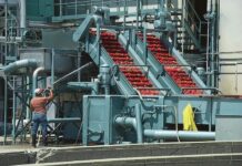 Як запобігти псуванню продуктів: традиційні та сучасні методи консервації