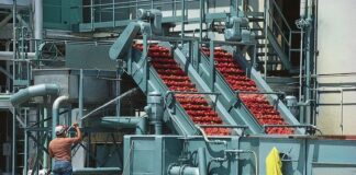 Як запобігти псуванню продуктів: традиційні та сучасні методи консервації